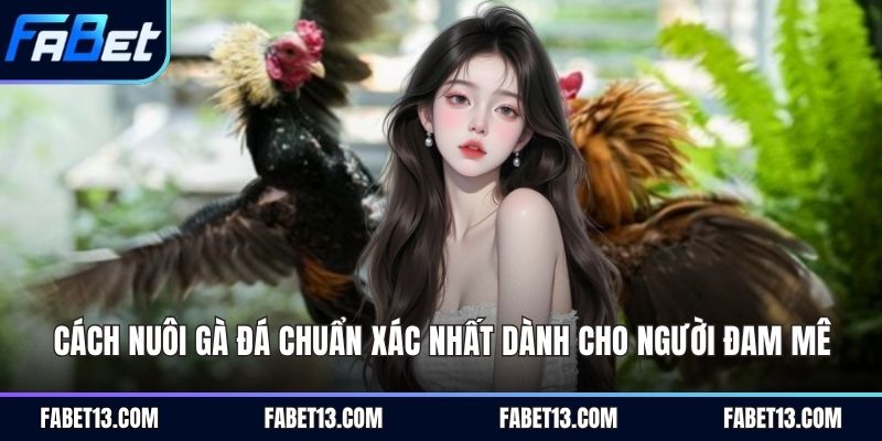 cách nuôi gà đá