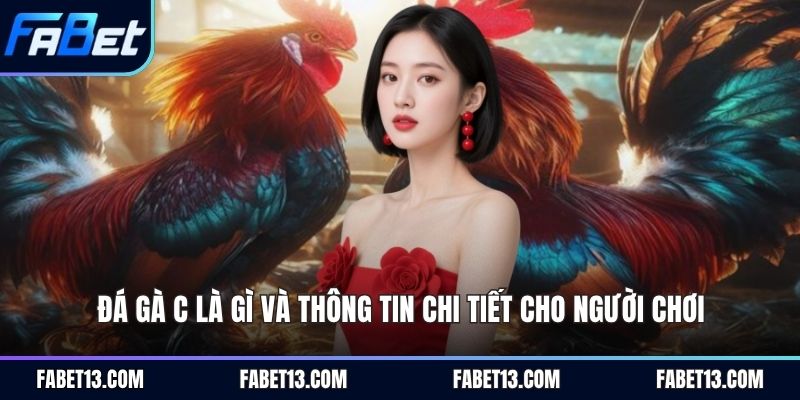 đá gà c là gì