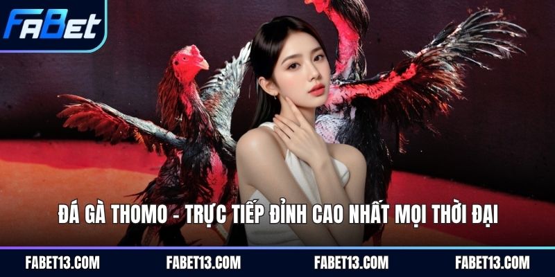 đá gà thomo