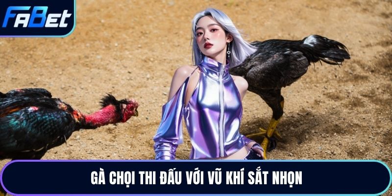 Gà chọi thi đấu với vũ khí sắt nhọn