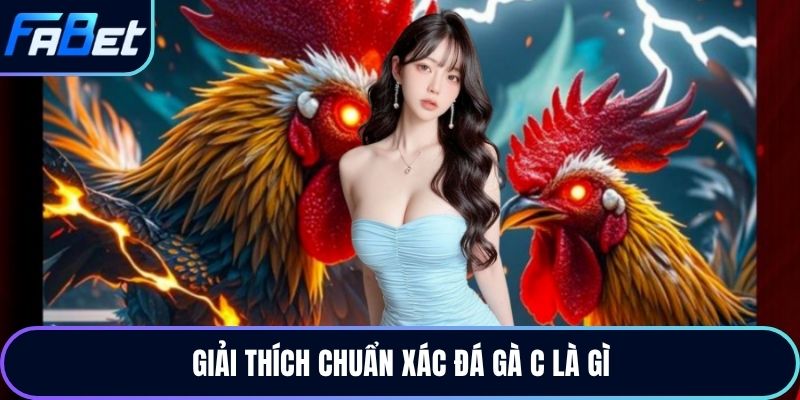 Giải thích chuẩn xác đá gà c là gì