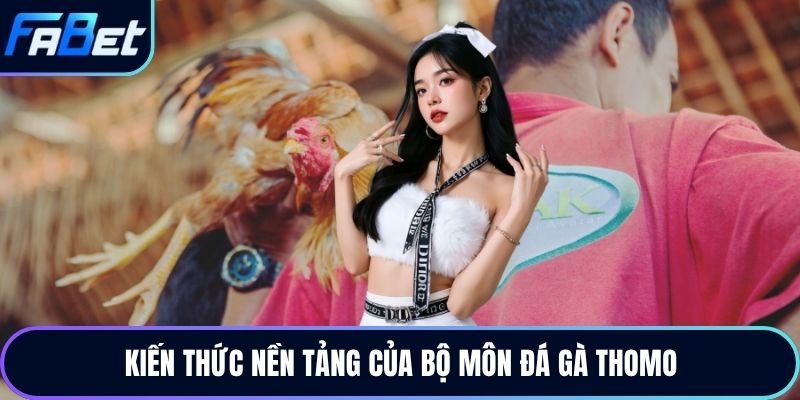 Kiến thức nền tảng của bộ môn đá gà thomo