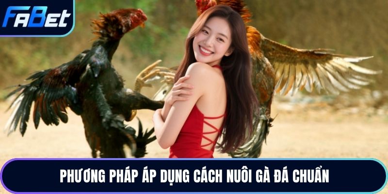 Phương pháp áp dụng cách nuôi gà đá chuẩn