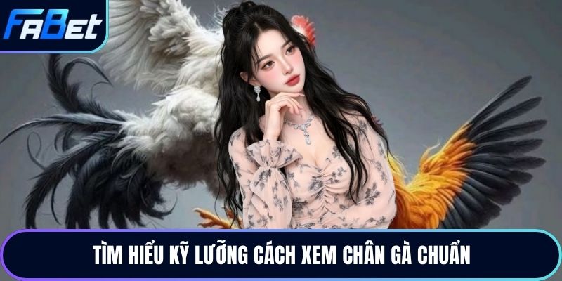 Tìm hiểu kỹ lưỡng cách xem chân gà chuẩn