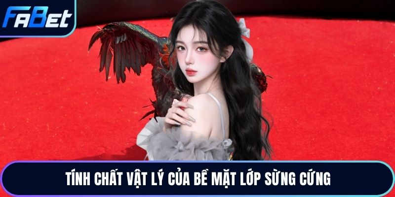 Tính chất vật lý của bề mặt lớp sừng cứng