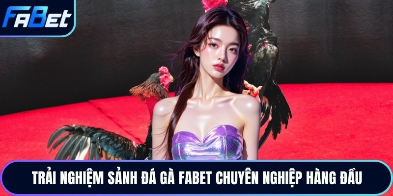 Trải nghiệm sảnh đá gà Fabet chuyên nghiệp hàng đầu